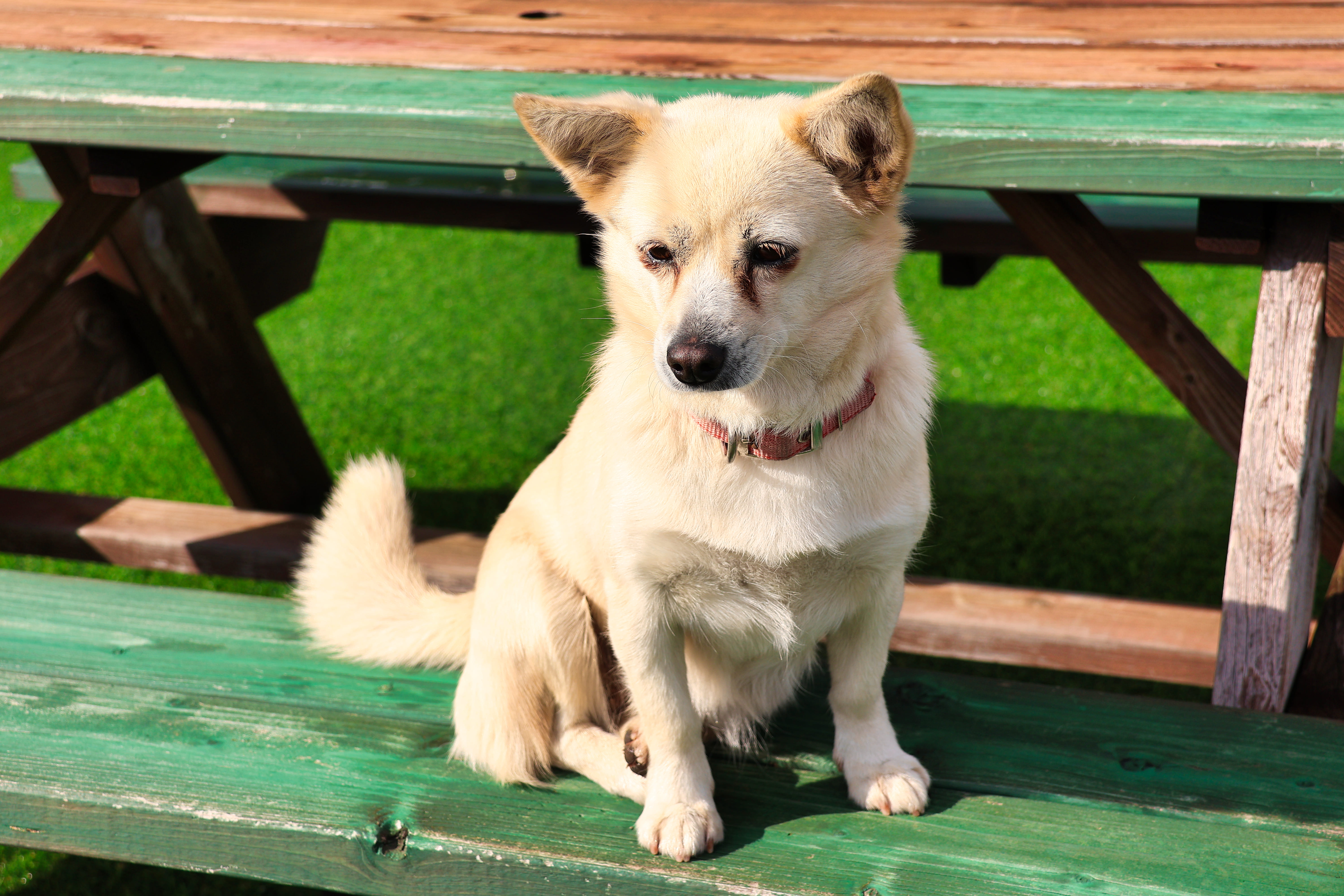 구말피하우스 이미지